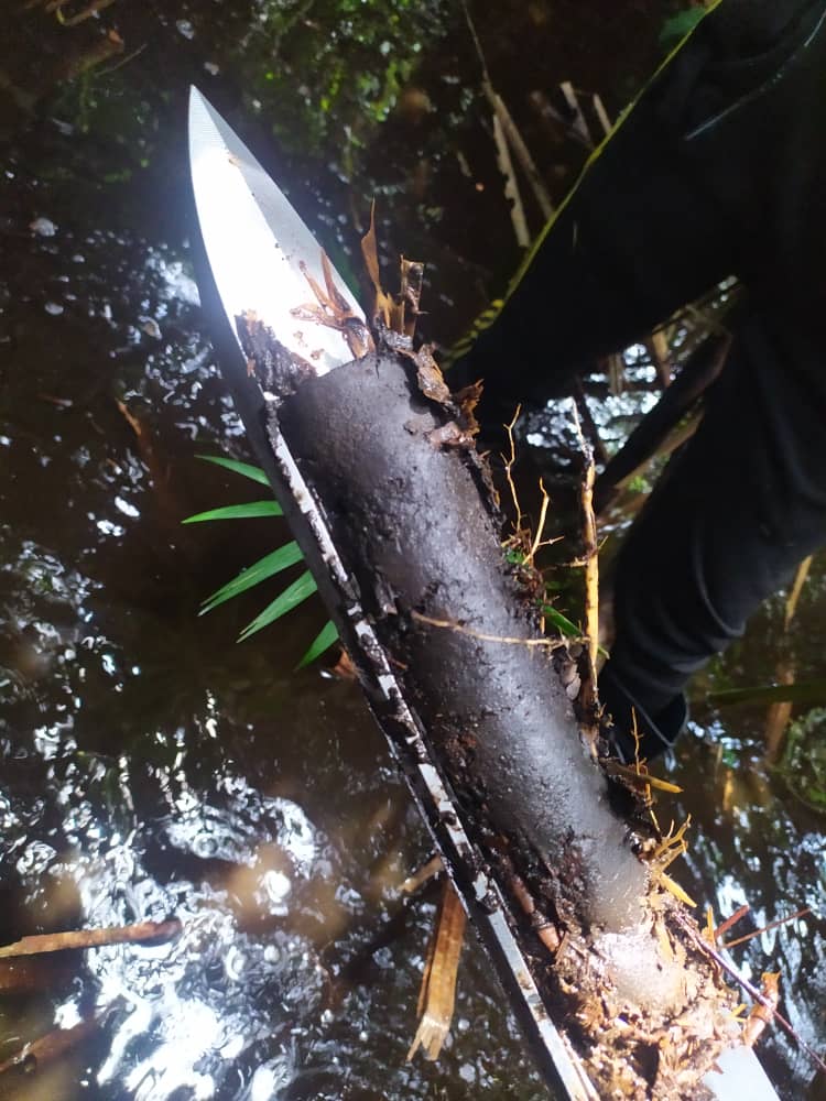 Carotte de sol hydromorphe