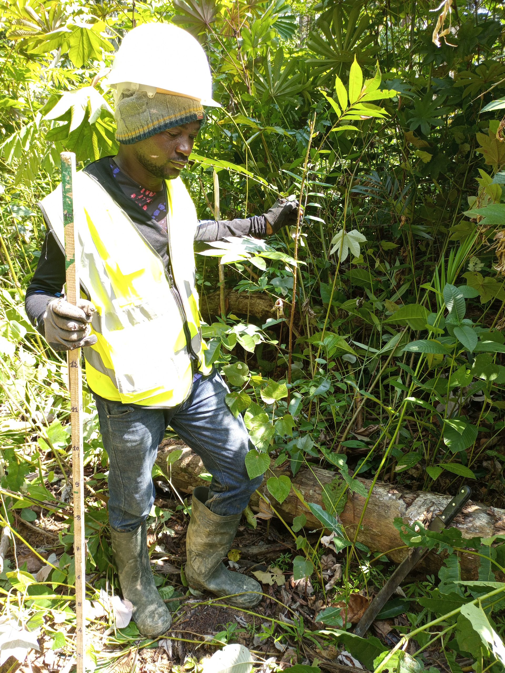 IMG_20210914_135709_961