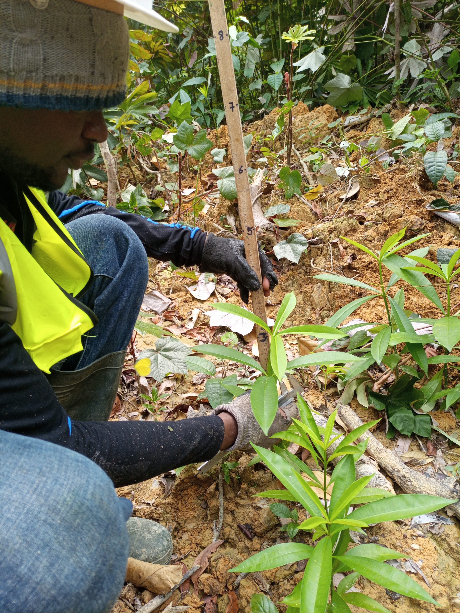 IMG_20210916_102953_919