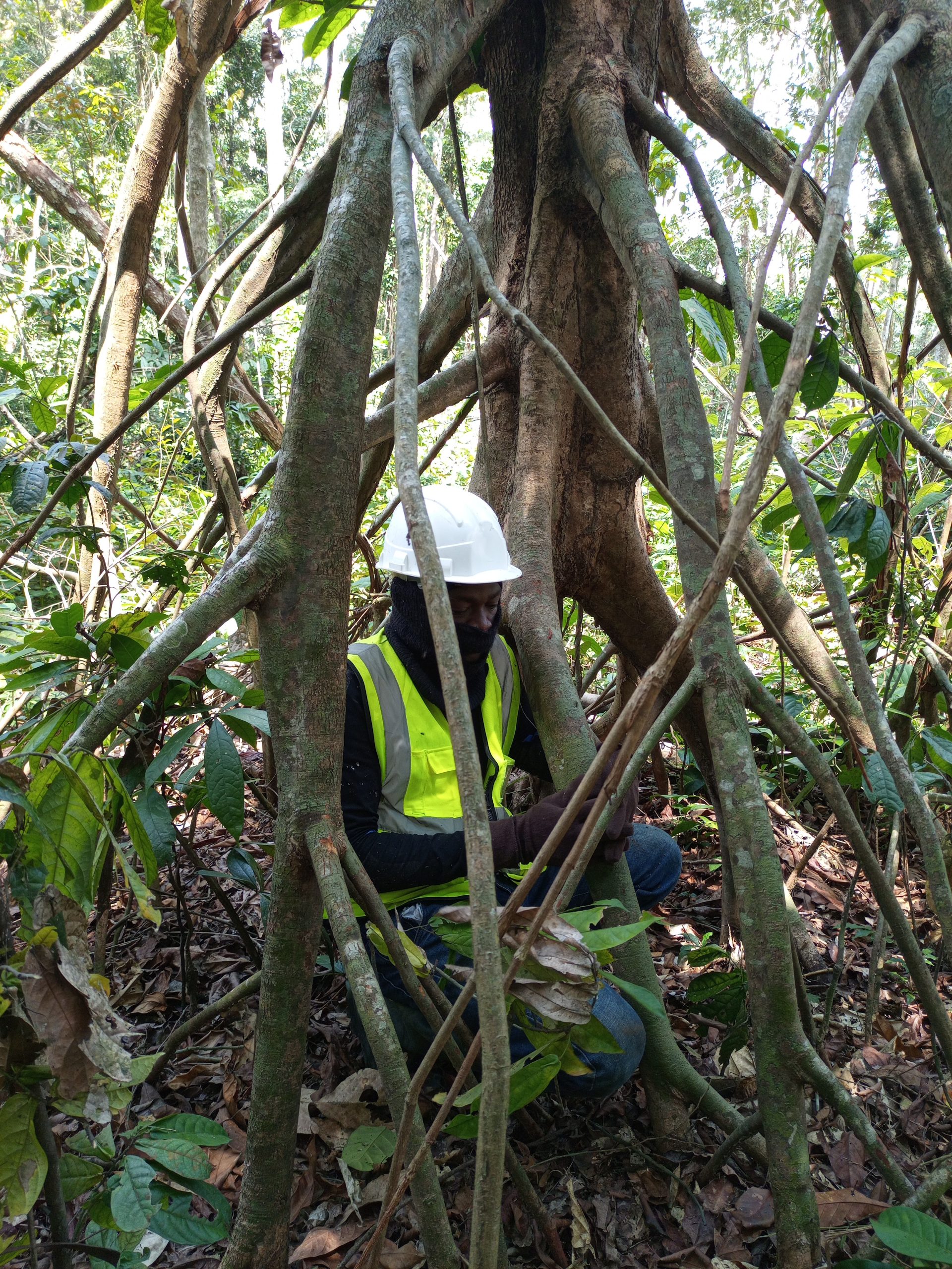 IMG_20210925_132300_718