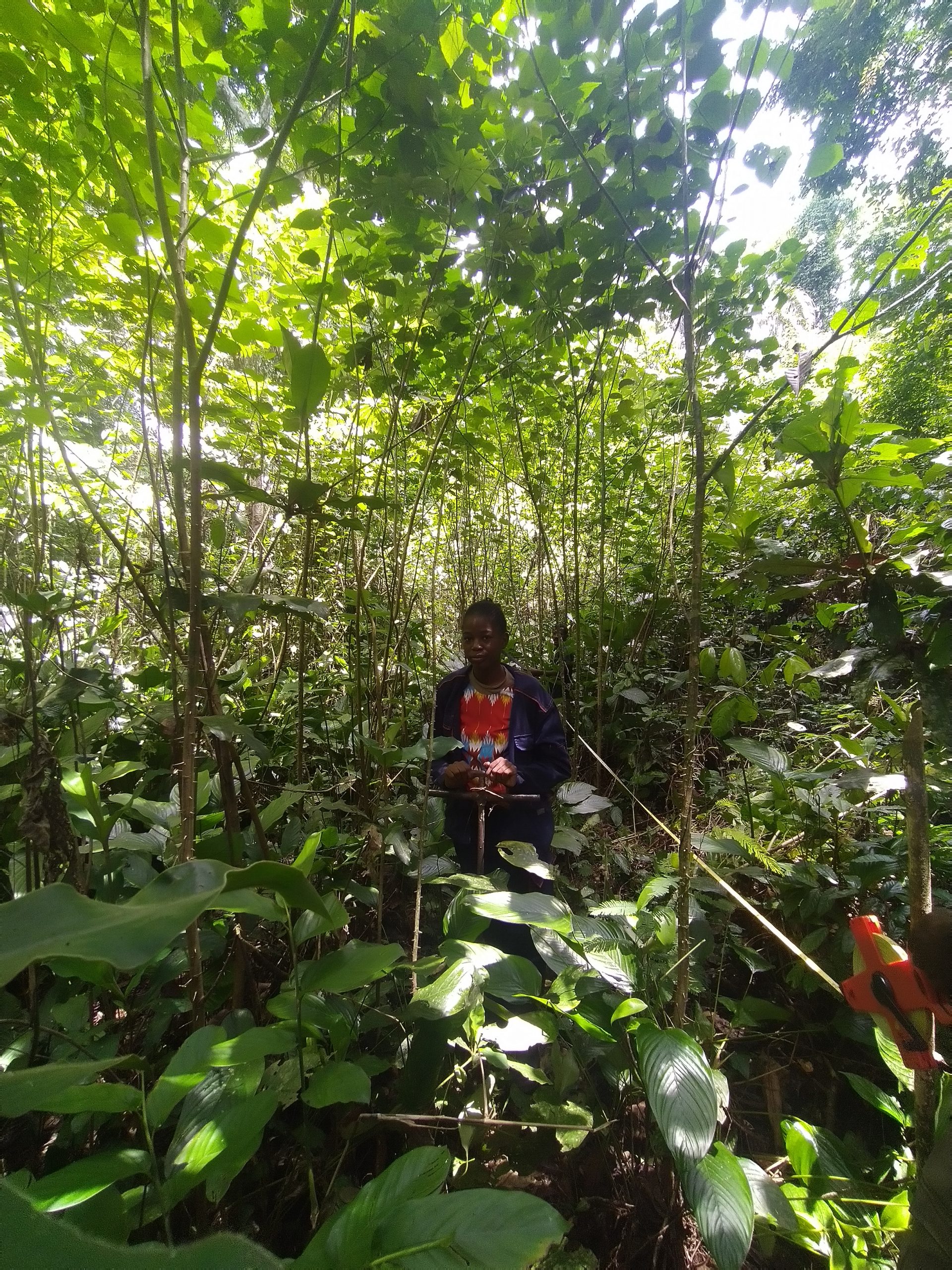 IMG_20220426_114231_1